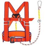 Safety Harness Kit with 6 ft Lanyard