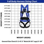 Safety Harness Fall Protection Kit with Lanyard