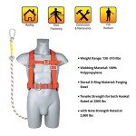 Safety Harness Kit with 6 ft Lanyard