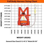 Safety Harness Kit with 6 ft Lanyard