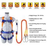 Safety Harness Fall Protection Kit with Shock Absorber