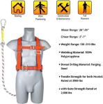 Safety Harness Kit with 6 ft Lanyard
