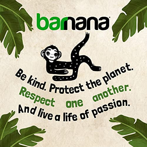 Organic Chewy Coconut Banana Snacks (3.5 oz, 6-Pack)