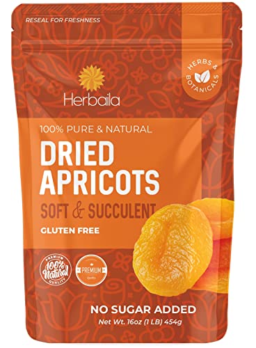 Unsweetened Dried Apricots - 1 Pound Bag
