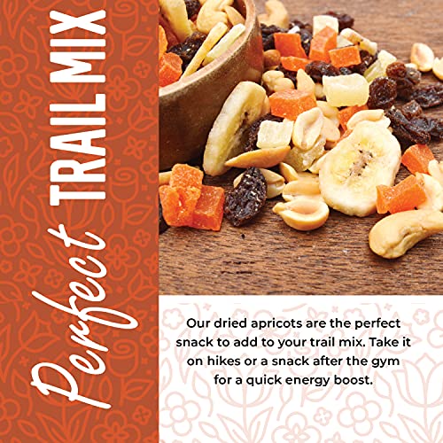 Unsweetened Dried Apricots - 1 Pound Bag