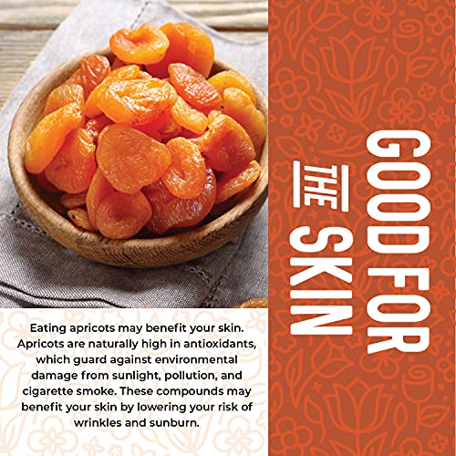 Unsweetened Dried Apricots - 1 Pound Bag