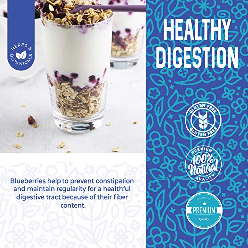 Organic Unsweetened Dried Blueberries, 16 oz