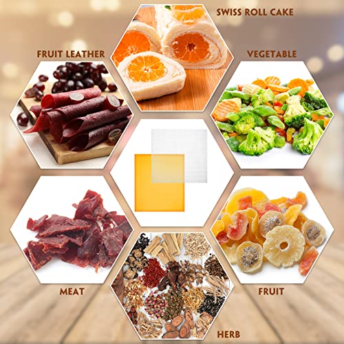 8 Pcs Silicone Dehydrator Sheets with Edge and 10 Pcs Mesh Dehydrator Mats: Non-Stick Dehydrator Accessories