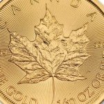 Canadian Gold Maple Leaf 1/10 oz Coin