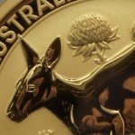 1oz Australian Gold Kangaroo Coin - Random Year