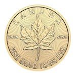 2024 1g Gold Maple Leaf Coin in Assay Card