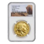 2025 1oz American Gold Buffalo MS-70 Coin