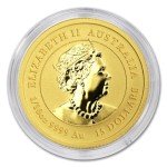2022 P 1/10 oz Australian Gold Lunar Tiger Coin
