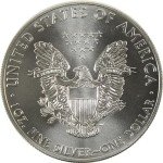 2015 American Eagle 1 oz Silver Bullion Coin