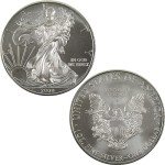 2009 American Eagle 1 oz Silver Bullion Coin