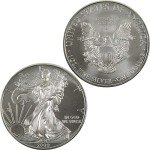2009 American Eagle 1 oz Silver Bullion Coin