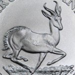 South African Silver Krugerrand Coin - 1 oz