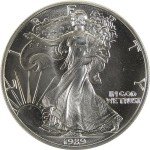 1989 American Eagle 1 oz Silver Bullion Coin