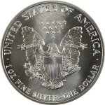 1989 American Eagle 1 oz Silver Bullion Coin