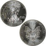 2014 American Eagle 1 oz Silver Bullion Coin