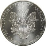 2013 American Eagle 1 oz Silver Bullion Coin