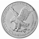 2024 American Silver Eagle 1 oz Bullion Coin
