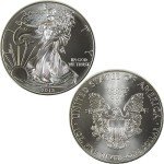 2013 American Eagle 1 oz Silver Bullion Coin