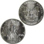 1989 American Eagle 1 oz Silver Bullion Coin