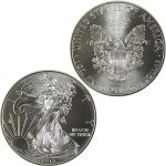 2013 American Eagle 1 oz Silver Bullion Coin