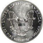 1990 American Eagle 1 oz Silver Bullion Coin
