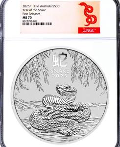 2025 Lunar Year of the Snake 1 Kilo Silver Coin