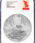 2025 Lunar Year of the Snake 1 Kilo Silver Coin