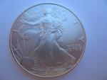 2004 Silver American Eagle Liberty Dollar 1-Oz