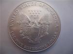 2004 Silver American Eagle Liberty Dollar 1-Oz