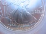 2004 Silver American Eagle Liberty Dollar 1-Oz