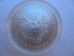 2004 Silver American Eagle Liberty Dollar 1-Oz