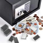 1 Oz Silver Bar Holder - 20 Pack Capsules