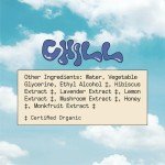 Daily Chill Mushroom Spray - Stress Relief Formula
