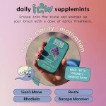 Daily Flow & Focus Mushroom SuppleMint 20g