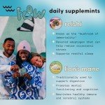 Daily Flow & Focus Mushroom SuppleMint 20g