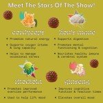 Organic Energy Mushroom Gummies for Focus & Stamina