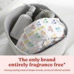 Huggies Size 1 Snug & Dry Diapers, 38 Count