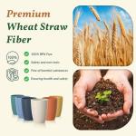 Unbreakable Wheat Straw Drinking Glasses - Set of 6