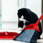 O-Cedar Pet Pro Broom and Dustpan Set