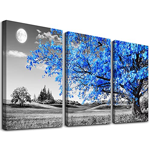 Black and White Canvas Wall Art for Home