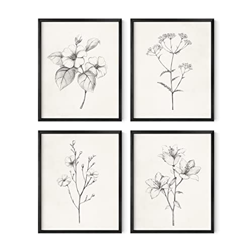 Floral Botanical Prints Set - Vintage Black White Art