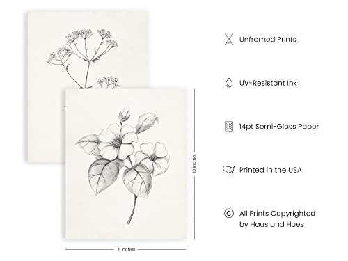 Floral Botanical Prints Set - Vintage Black White Art