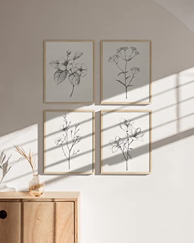 Floral Botanical Prints Set - Vintage Black White Art