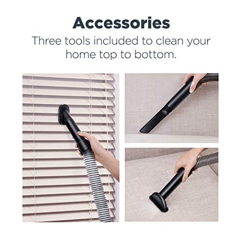 Powerful Lightweight Upright Vacuum Cleaner - Pet Turbo