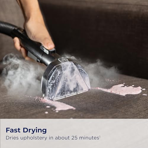 Little Green HydroSteam Upholstery Cleaner, Car Detailer